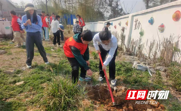 图片9.jpg 图片9.jpg