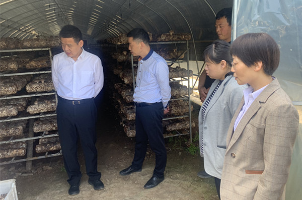 微信图片_20220513172933_副本.jpg 微信图片_20220513172933_副本.jpg