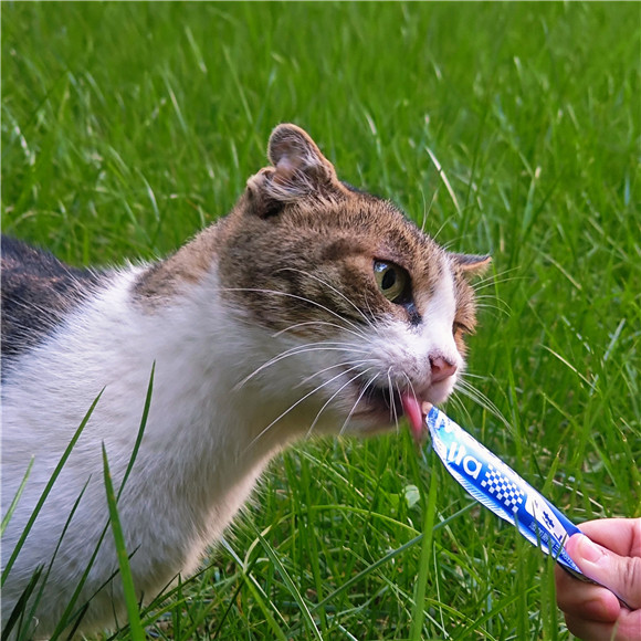 二等奖 2023级硕士研崔嘉琦.jpg