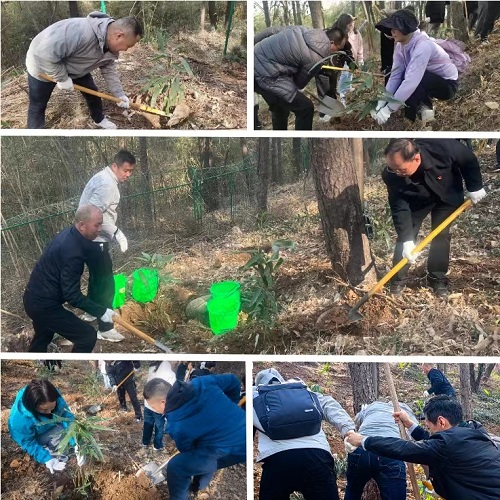 微信图片_20240314105636.jpg 微信图片_20240314105636.jpg