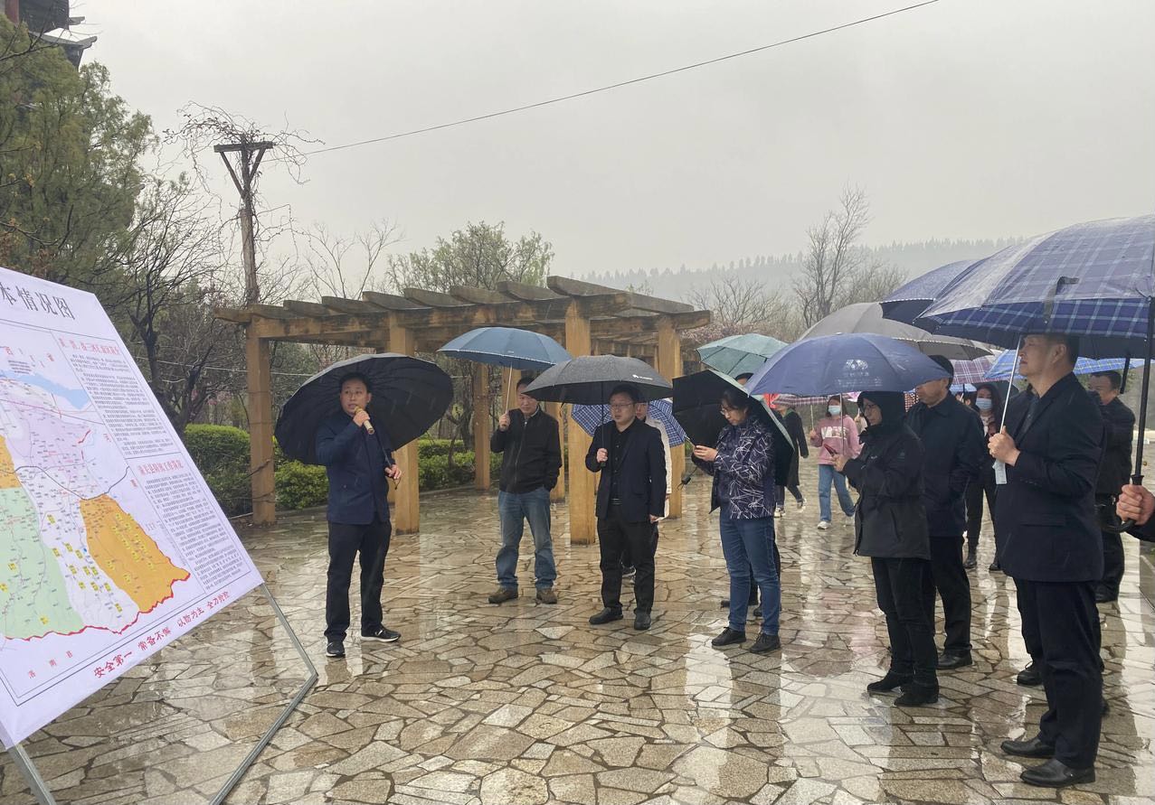 1617079179903038931.jpg 1.jpg